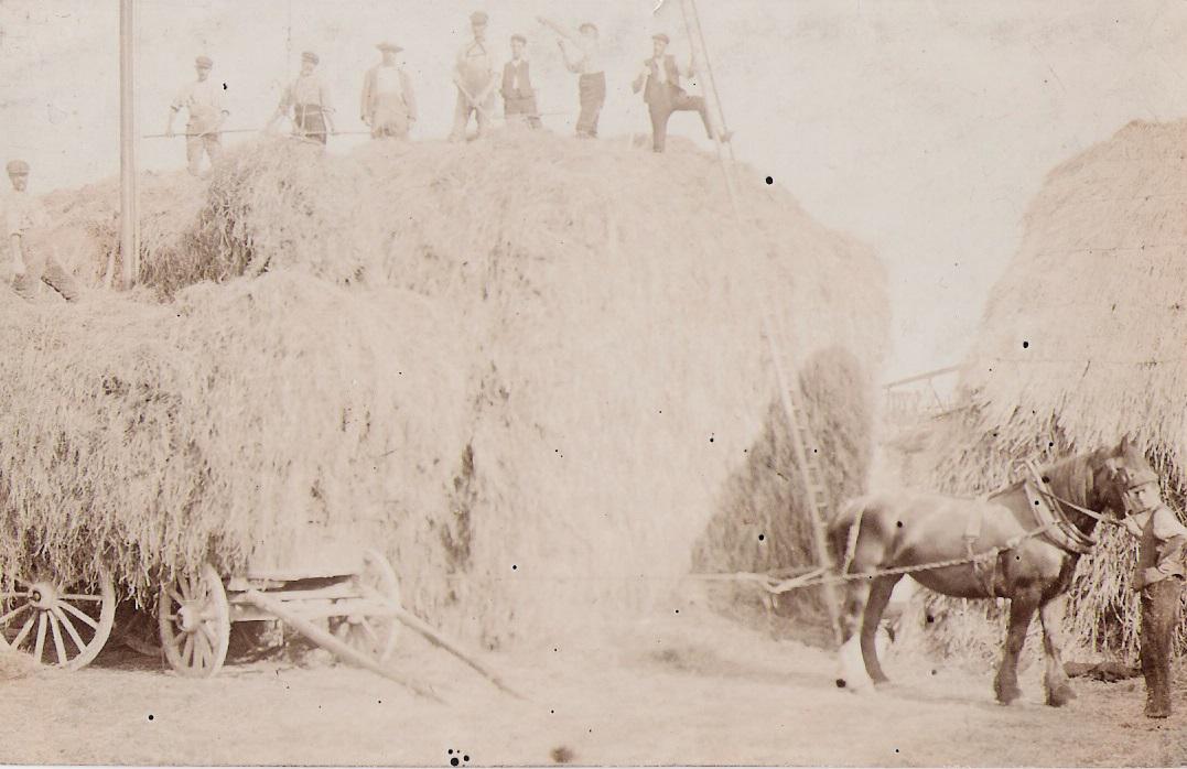 Undated - Farming Scene 2
